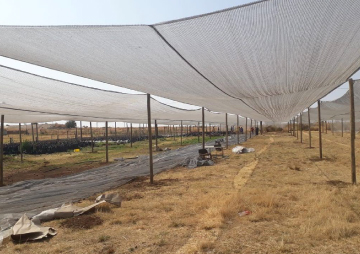 agricultural-shades-greenhouse-tunnels