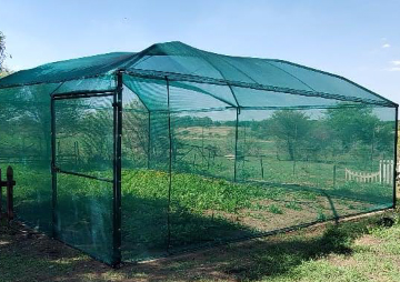 garden-tunnel-netting-green